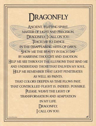 Dragonfly (image for) Dragonfly