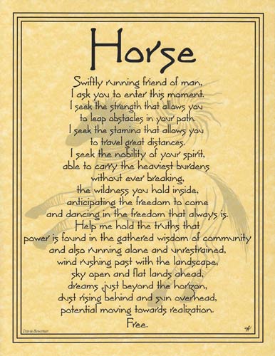 Horse (image for) Horse