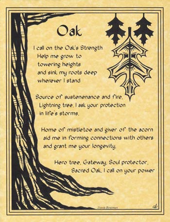 Oak (image for) Oak