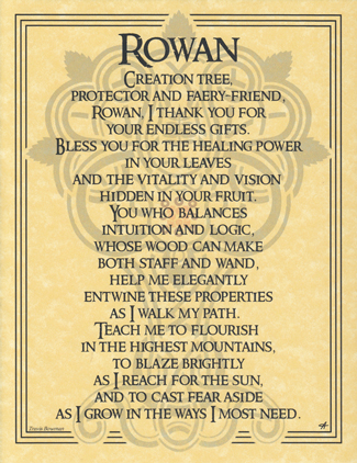 Rowan (image for) Rowan