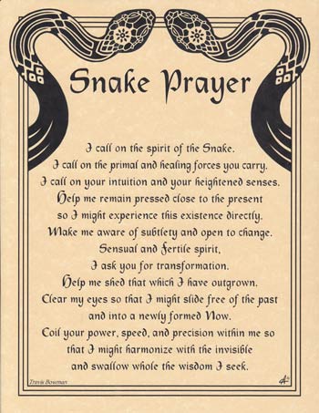 Snake Prayer (image for) Snake Prayer