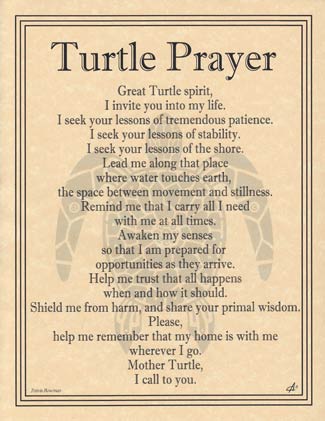 Turtle Prayer (image for) Turtle Prayer
