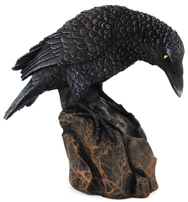 Raven down 5 1/2" (image for) Raven down 5 1/2"