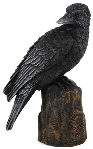 Raven back 6" (image for) Raven back 6"