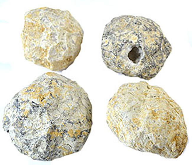 Crackable Geode (3-4/box) (image for) Crackable Geode (3-4/box)