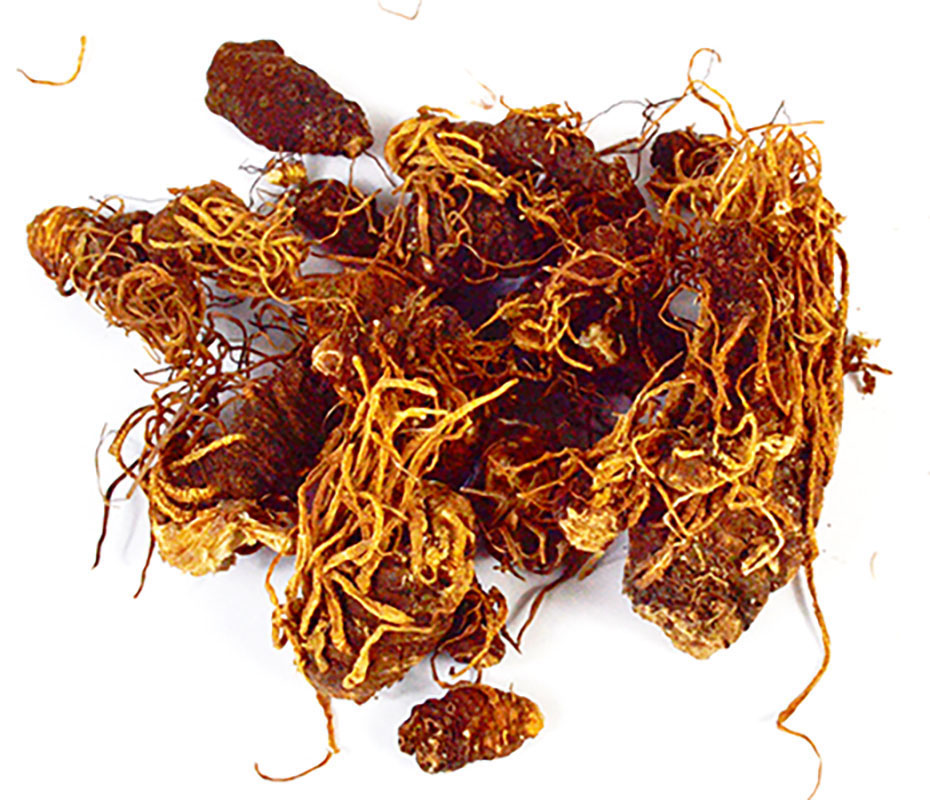 1 Lb Beth Root whole (image for) 1 Lb Beth Root whole