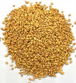 Fengreek Seed whole 2oz (image for) Fengreek Seed whole 2oz